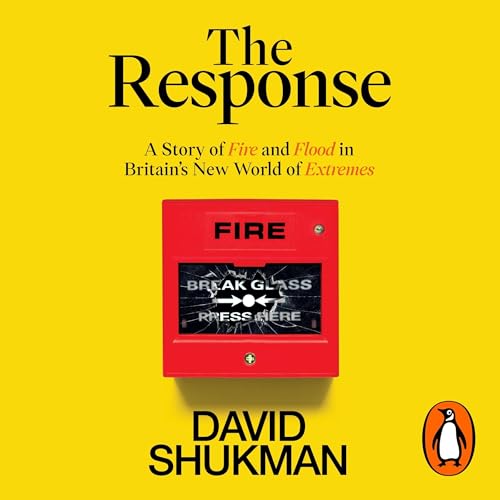 The Response Audiolibro Por David Shukman arte de portada