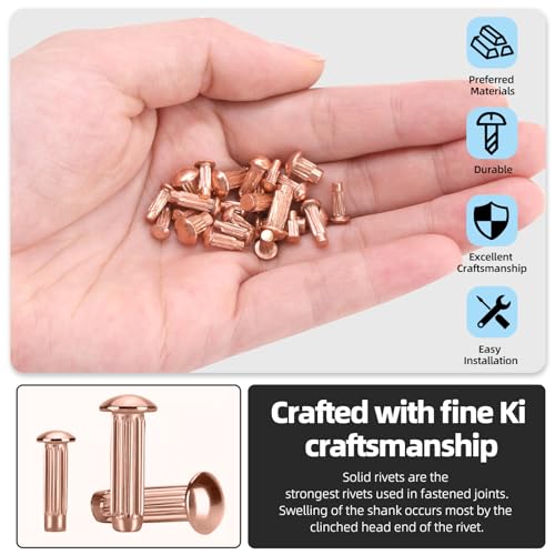 Glarks 170pcs Solid Nieten Knulled Shanks Set, M2 M2.5 M3 M4 Halbrunder Kopf Rot Kupfer Solid Nieten Sortiment Kit mit Aufbewahrungsbox Home Outdoor Hardware Tool