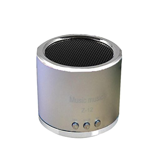 Creazy Wireless Portable Mini Speaker FM Radio USB Micro SD TF Card MP3