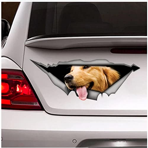 WYZDGTD Golden Retriever Calcomanía para Coche Calcomanía Cover