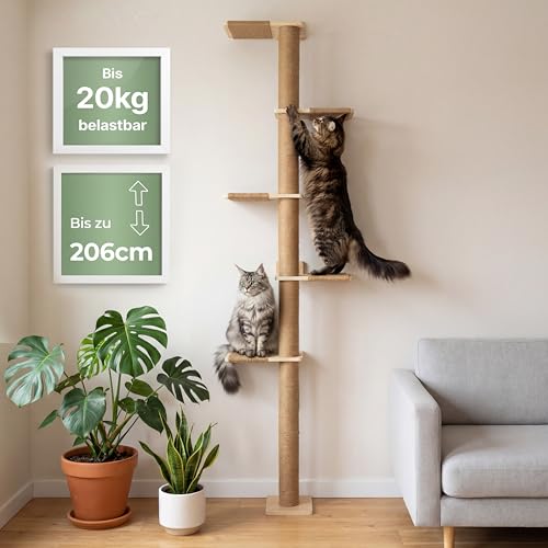 WOOWOOD Arbre à chat mural à 5 étages - Mur d'escalade pour chat avec 5 étages et escaliers pour chat, tour pour chat en bois d'hévéa (jusqu'à 206 cm),...