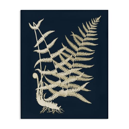 Stupell Industries Layered Fern Botanical, 16 x 20 Inch Canvas Wall Art