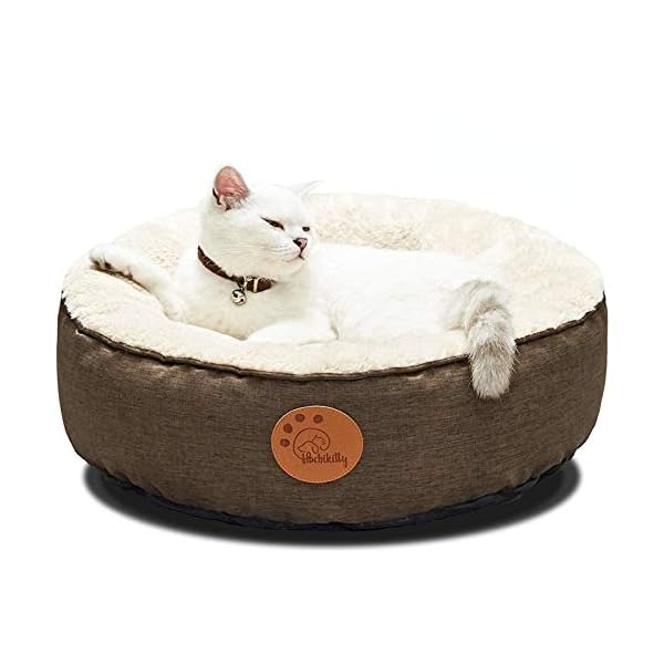 HACHIKITTY Washable Donut Dog Bed Round, Cat Beds Indoor Cats Medium, Small Cat Bed Machine Washable HACHIKITTY Washable Donut Dog Bed Round, Cat Beds Indoor Cats Medium, Small Cat Bed Machine Washable