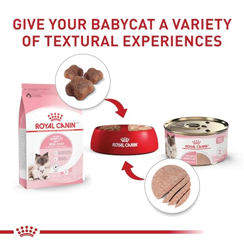 Royal Canin Feline Health Nutrition Mother & Babycat Queen Ultra Soft Mousse in Sauce Cat Food, 3 oz (Pack of 24) - Image 6