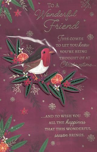 Wonderful Friend Christmas Card Large Luxury Robin Design Gold Foil Embossed & 3D Die-Cut Single with Envelope 24 x 16 cm Message Inside