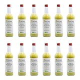 Pure Ginger – hochwertiger peruanische Bio-Ingwer mit Zitrone ohne Zucker und künstliche Zusatzstoffe 100% Bio (DE-ÖKO-005), 12x500ml