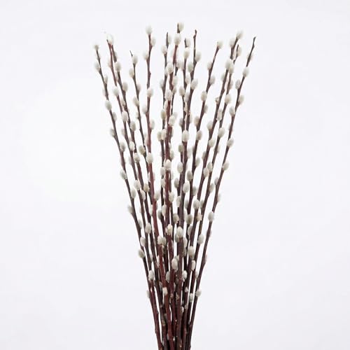 Frischer natürlicher WEIDENKÄTZCHEN Bund 90cm Hochzeitsdeko Osterdeko Frühlingsstrauß