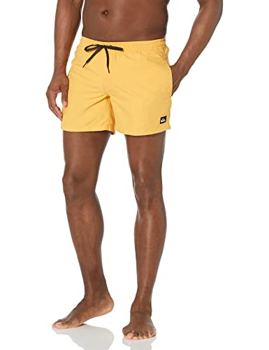 Quiksilver Men's Standard Everyday Volley 15 Boardshort Swim Trunk