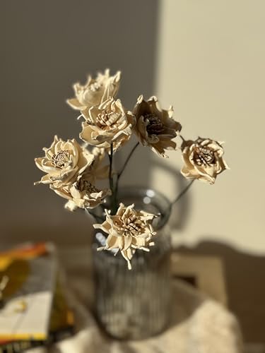 Image of Sola Whistle | 10 Piece | Lightweight & Handcrafted Sola Wood Flower for Elegant Home Dcor & DIY Arrangements