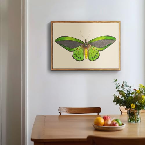 crmotu Vintage Framed Wall Art, Green Butterfly Rustic Wall Decorations, Nature Insect Pictures Canvas Prints, Retro Moth Paintings Wall Decor Living Room Bedroom, Farmhouse Bathroom Decor, 16x24 inch