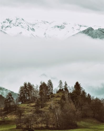 THISIT DIY Pintura por números de Kits,Montañas,árboles,montañoso-40 X 50 cm con marco de madera