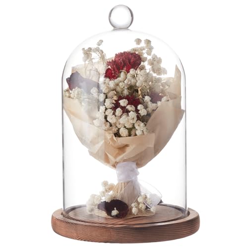BENECREAT 7x4.7 Inch Glass Dome Cloche with Wooden Base, Rustic Bell Jar Display Clear Glass Bell Cloche for Plants, Fairy Lights or Table Decor