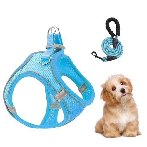Arnés Y Correas para Perros Pequeños,Combinación De Arnés De Malla Y Correas para Perro - Chaleco Reflectante Transpirable para Perros y Gatos Excursiones Entrenamiento Viajes en Coche Camping