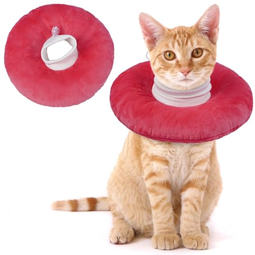 Lelepet GUxXJ[ L  ybgpi _炩 J[ y ʋC rߖh~ ~h~ EHWȂ \ GUxX pi (sNAS)