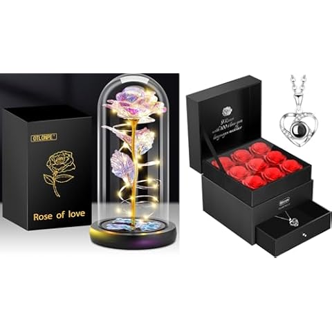 Otlonpe Rose Flower in Glass Dome + 9 Roses Flowers with Neckless in a Box, Womens Gifts for Birthday, Christmas, Anniversary, Wedding, Valentine's Day, Mother's Day Cover