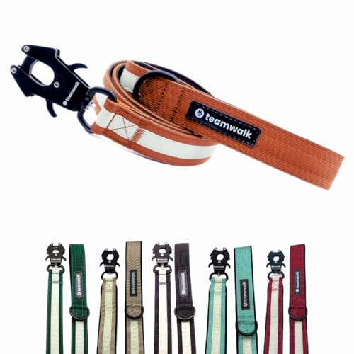 teamwalk® Premium Hundeleine - mit Leuchtstreifen, weicher Polsterung, robuster Schnalle, (Rostrot, Leine Rostrot(130cm)) - perfekt abgestimmte Länge, für eine Gute Leinenführichkeit.