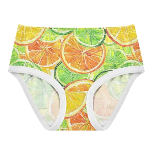 Wusikd Citrus Fruit Slices Girls' Underwear Cotton Girls Briefs Soft Toddler Underwear 2T