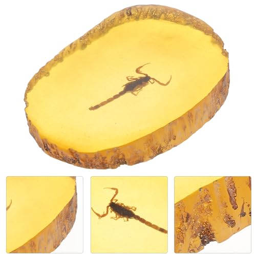 BESPORTBLE 1Pc Bernstein Fossiles Insekt Künstliches Bernsteininsekt Exemplar Anhänger Skorpione Insekten Bernstein Steinsammlung Ovale Verzierung für Freunde Kinder Kinder (Skorpion)