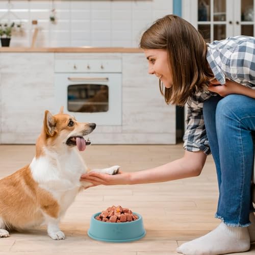 Bekecidi Hundenäpfe für Futter und Wasser, Stetige Plastikkatze Schüssel Hundeschüssel BPA-frei, Mehrzweck Anti-Slip Haustier Fütterungsschale für Hunde (Grün)