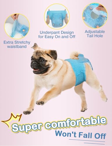 Dono Hundewindeln für Hündinnen, 10 Stück, Hunde Windeln Weiblich mit elastischem Bund, Pull-up-Hundewindeln, super saugfähig, L (34-54 cm)