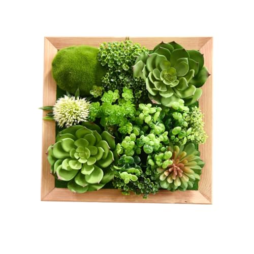 ECKEK lHA Ǌ| lHϗtA tFCNO[ CeAO[ EH[O[ ؘg A (30*30CM G)