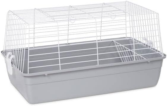 Elegant Escape Small Round Bird Cage with Graceful Design, Durable Metal Construction, Compact Size, and Comfortable Space Red