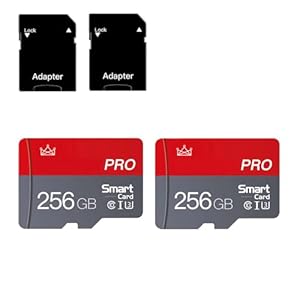 256GB Micro Memory Card Class 10 Memory Cards with Adapter Class 10 High Speed Mini Card for Smartphones/Camera/Tablet 2-Pack