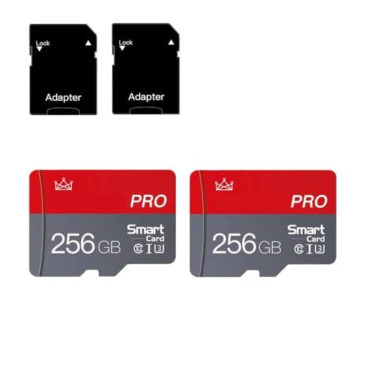 256 GB Micro SD Card Class 10 Memory Card with SD Adapter Class 10 High Speed Mini SD Card for Smartphones/Camera/Tablet 2 Pack