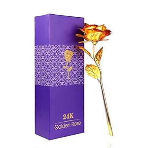 WeFoonLo Kunstmatige 24K Gold Rose Flower Plastic Lange Steel Real Rose Gedoopt in Goud met Geschenkdoos voor Moederdag…