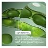 Biolage Color Last Conditioner - Protects & Preserves Color Treated Hair, Hydrates & Repairs Damaged Hair, Adds Shine, Vegan, Paraben-Free