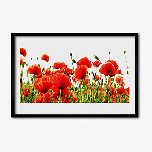 Affiche encadrée 60x40 cm maki plante nature pour decoration de salon