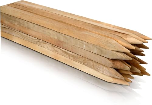 Estacas de madera de haya, cuadradas, 25 unidades, longitudes de 100 cm, ideales para postes de vallas, postes de vallas, estacas de árboles y trabajos de jardinería, varillas robustas de 25 mm x 25