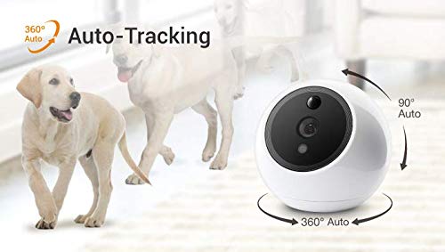Amaryllo Apollo Pet Edition: Biometric Auto Tracking PTZ Pet Camera with Pet Detection(Dogs/Cats/Birds), Support Fire Warning, Support Person, Vehicle Detection, Support Face Recognition, 1080p - Thumbnail 3