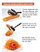 Carrot Curler and Peeler, Black Carrot Spiral Shred Slicer Root Vegetables Fruits Slicer Sharpener Garnishing Tool (Plastic)