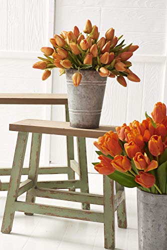 Amazon.com: K&K Interiors: Floral Everyday