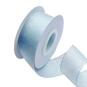 HOOLRZI Durchsichtiges Organzaband 2,5 cm x 9,1 m