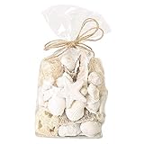 deko muscheln kaufen köln Potpourri Deko Streu Strandgut