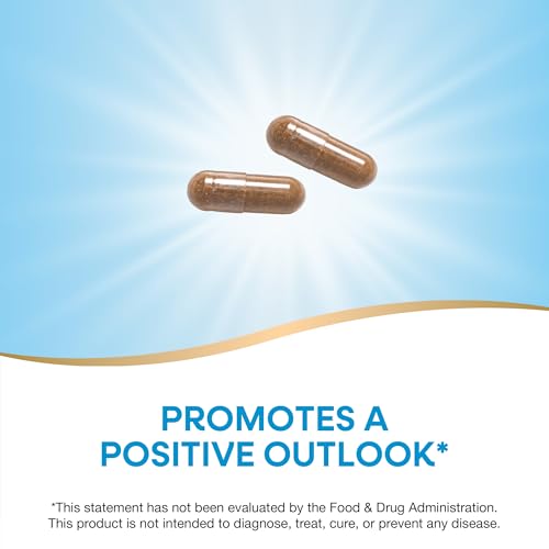 ネイチャーズウェイ セントジョーンズワート 180カプセル