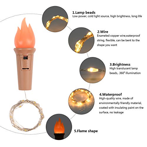 Vicloon Luci per Bottiglia,10 Pezzi Bianco Caldo