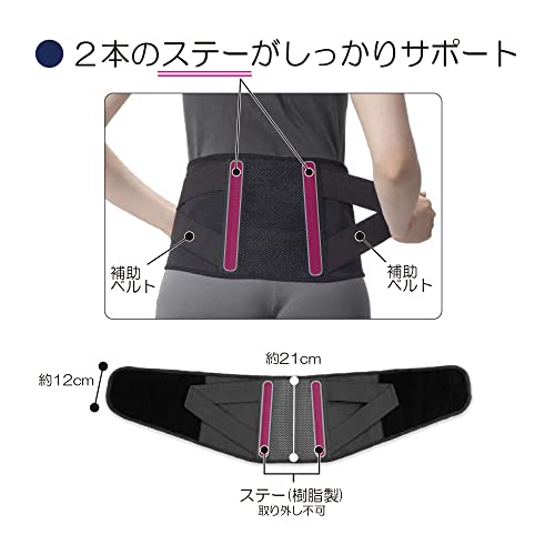 竹虎 腰サポーター ランバックソフトII ブラック Lサイズ