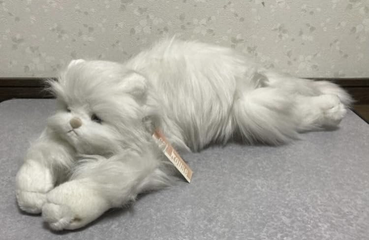 Amazon.co.jp: タグ付 猫 ねこ ネコ オオイケ ペルシャ猫 OIKE
