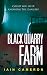 Black Quarry Farm: (DI Angus Henderson 8)