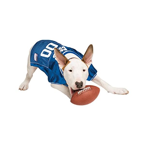 NFL PET Jersey. – Football Licensed Dog Jersey. – 32 NFL Teams Available. – Comes in 6 Sizes. – Football Pet Jersey. – Sports Mesh Jersey. – Dog Jersey Outfit. – NFL Dog Jersey NFL PET Jersey. – Football Licensed Dog Jersey. – 32 NFL Teams Available. – Comes in 6 Sizes. – Football Pet Jersey. – Sports Mesh Jersey. – Dog Jersey Outfit. – NFL Dog Jersey