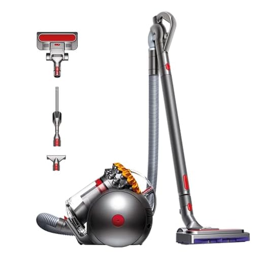 Dyson Big Ball Multifloor 2 Cylinder