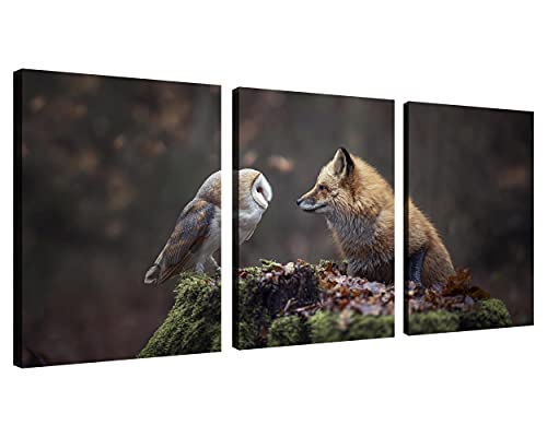 Nan Wind Owl And Fox Modern Wall Art Canvas Wildlife Wall Decor Forest Pictures On Wall Art For Home Office Decorations Living Room Bedroom And Kitchen Decor 3 Pcs Framed Canvas Prints 12X16Inches #TOP14