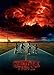 Produktbild Displate  Metallposter - Magnet-Montage - Stranger Things Series - Posters S1 - Stranger Things S1 Boys - Größe M - 32x45cm