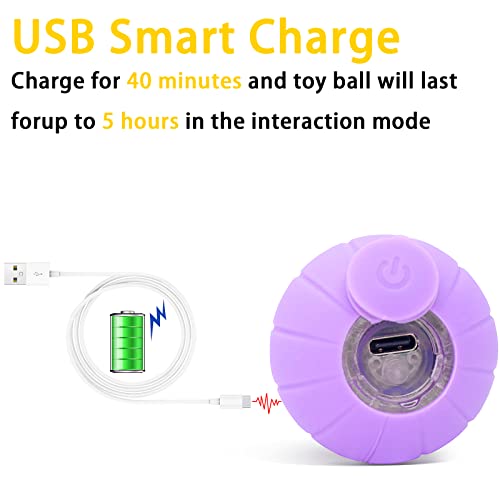 Maddemcute Interactive Cat Ball Toys With Led Lights,2 Modes Active Rolling Ball For Indoor Cats & Small Dogs,Usb Rechargeable Peppy Automatic Self-Propelling Ball For Puppy Small Medium Pets #TOP2