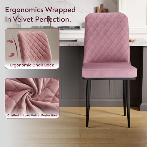 Image of IKON Premium Velvet Dining Chair with Cushioned Seat & Metal Legs | Premium Accent Chair for Living Room, Bedroom & Balcony | D.I.Y (Cloud Pink)