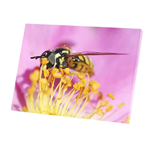 Tableau guêpe sur pistils toile imprimée 42x30 cm pour décoration murale