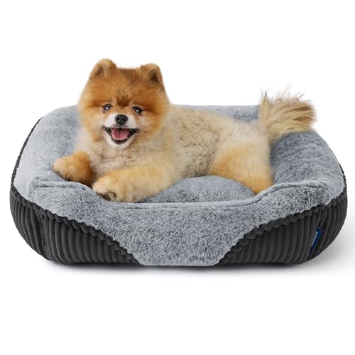 Bedsure Washable Dog Bed Small Dog＆Cat- Rectangle Fluffy Plush Kitten Puppy Bed, Comfy Corduroy Fleece and Nonskid Bottom,20x19x6inches,Grey
